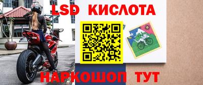 гашик Камышлов