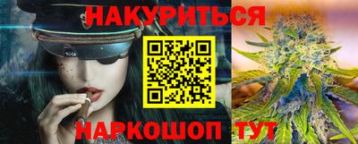 гашик Камышлов
