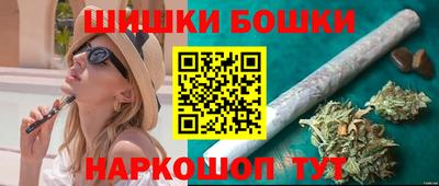 гашик Камышлов